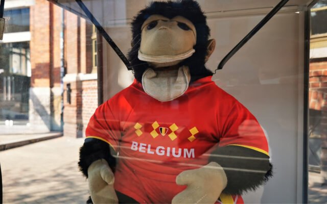 Allez les Diables !, diffusion match de la Belgique, Euro 2020, brasserie © Eden | Centre culturel de Charleroi, Le Paradis, c'est ici !